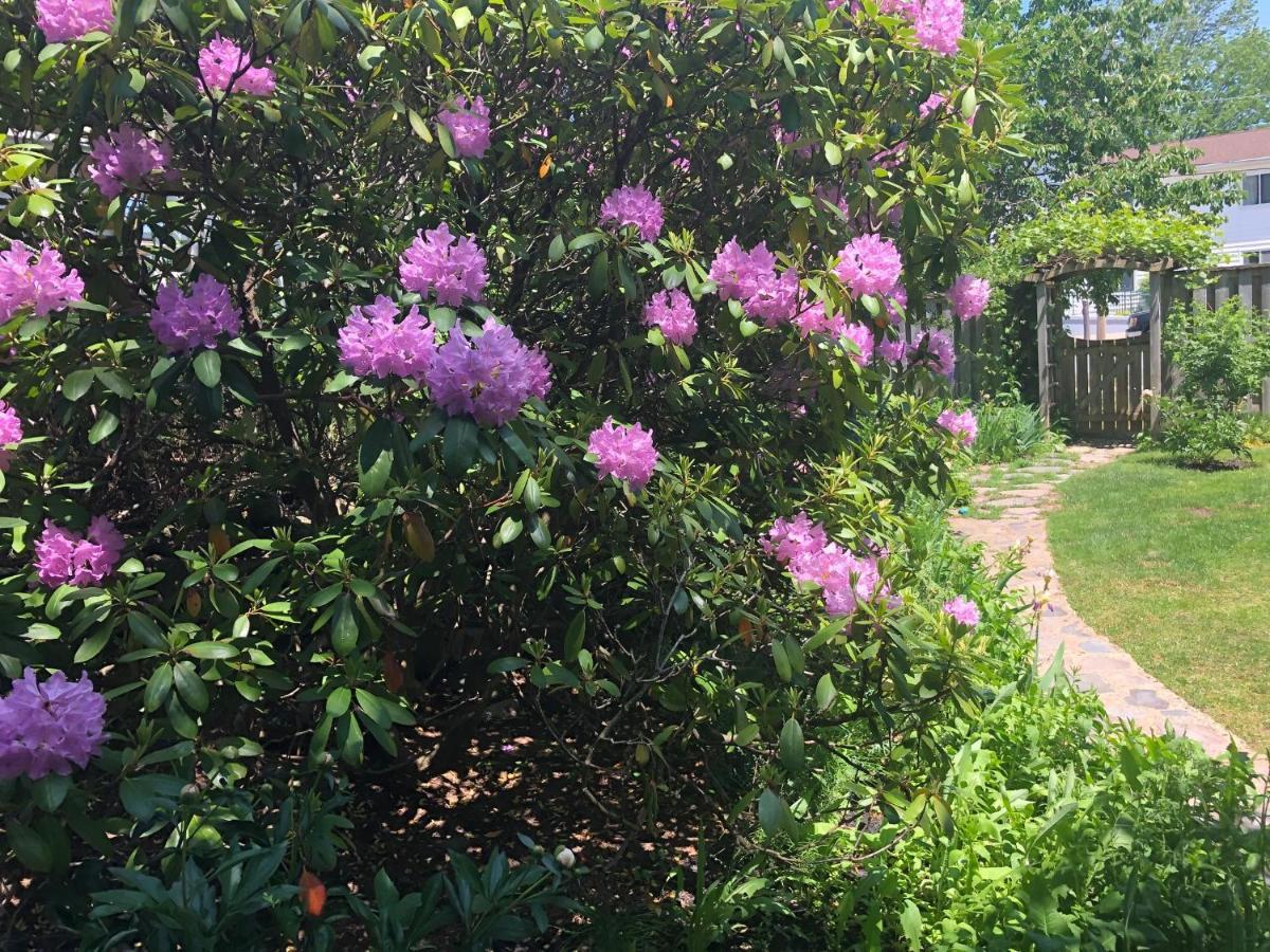 The Stella Rose B&B ウルフビル エクステリア 写真